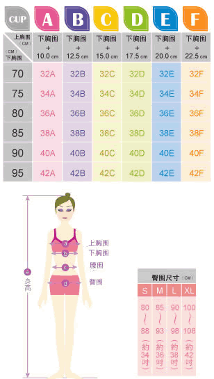 女士内衣尺码对照表_内衣尺码表