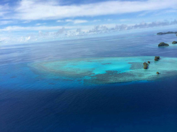 海底奇观之首免签小众海岛帕劳之旅