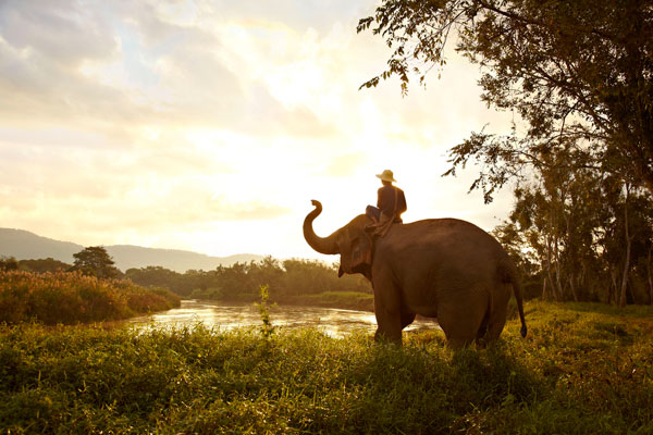 奢品泰国——从曼谷河畔花园到神秘巨象丛林