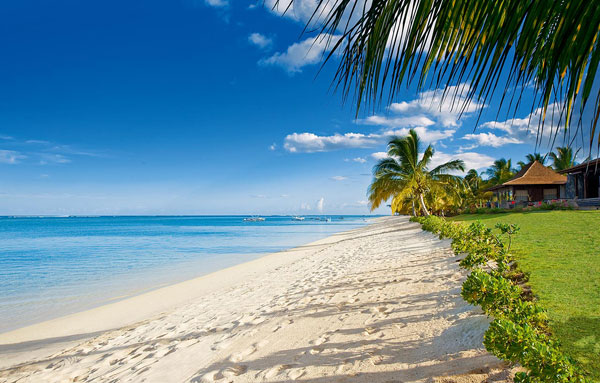 绵密白沙滩和椰林树影下的纯净假期