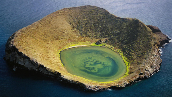 加拉帕戈斯岛8天探索全球最罕见生态