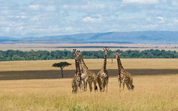 感悟荒野 肯尼亚7天6晚徒步探险体验非洲之美