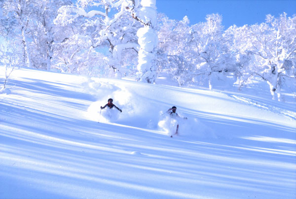 畅滑雪国 北海道滑雪温泉尽享冬季欢乐