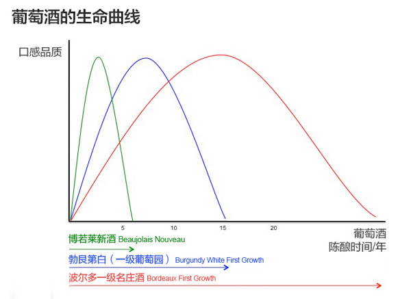 焦点问答：葡萄酒如何陈年和储存