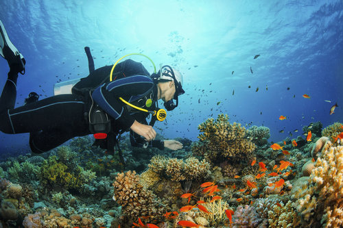 全球五大潜水圣地 寻找属于自己的神秘海洋