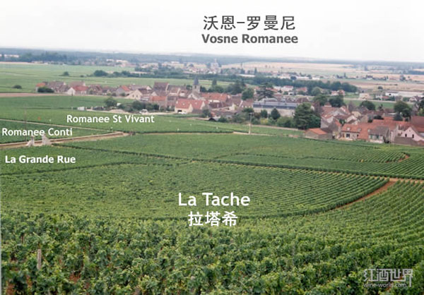 拉菲、木桐，法国名庄的葡萄园你都见过么？