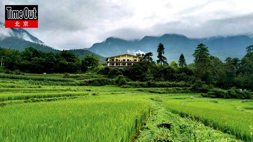 松赞塔城酒店掩映在大山和稻田之间。