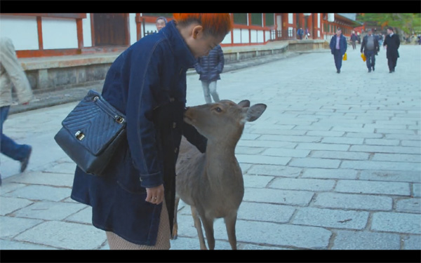 Agoda安可达带你潜入四大旅行圣地