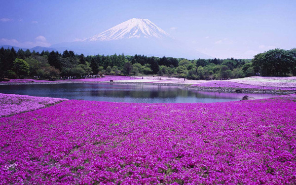 史上最完整北海道深度游地图，给你一个爱上北海道的理由！