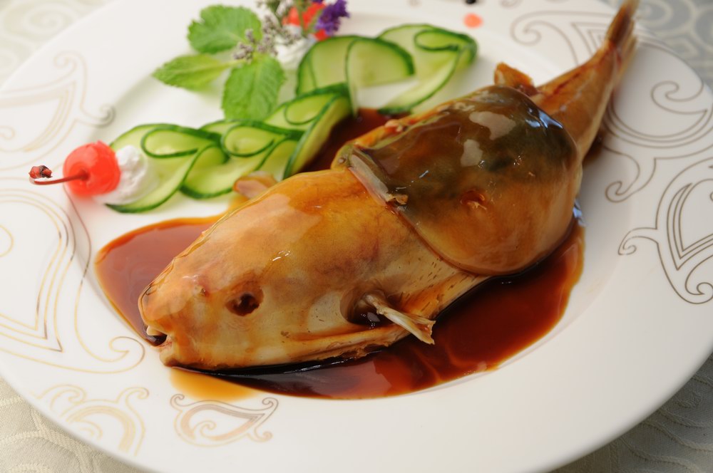 浦江国际开元大酒店推出河豚鱼美食节