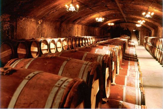 拉菲酒窖自存了许多老年份的酒。