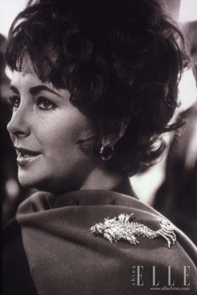 伊丽莎白·泰勒(Elizabeth Taylor)佩戴蒂芙尼海豚胸针